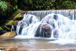 Actividad - Excursión a la catarata Río Tigre