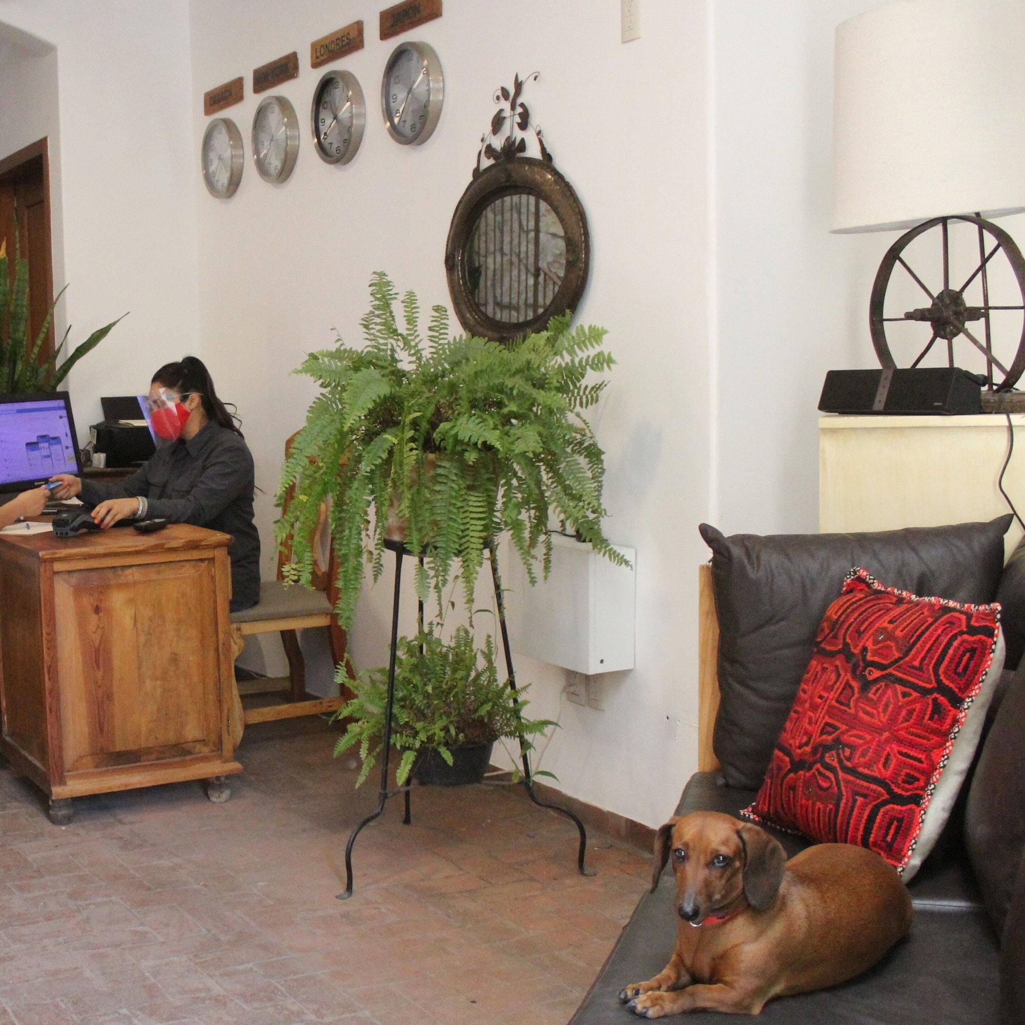 Vista Lobby Hotel Boutique La Cochinilla