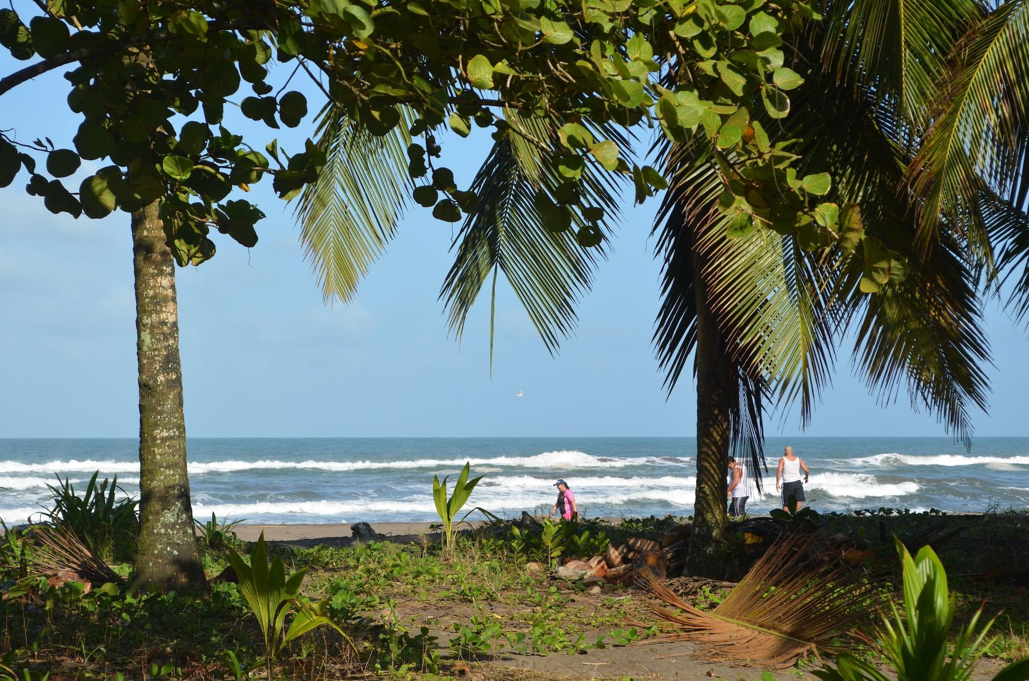 Playa Hotel Pura Natura Beachfront Tortuguero