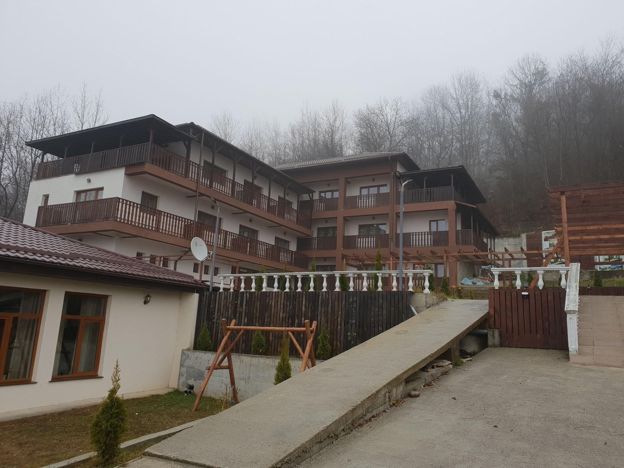 Equipamiento de Habitación Pensiunea Arido