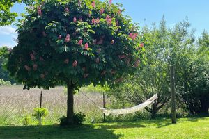 Alquiler Vacacional - My deer House - Green retreat for the whole family