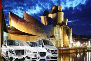 Actividad - Tour privado: Vehículo y chófer a disposición en Bilbao para servicio de cena o almuerzo