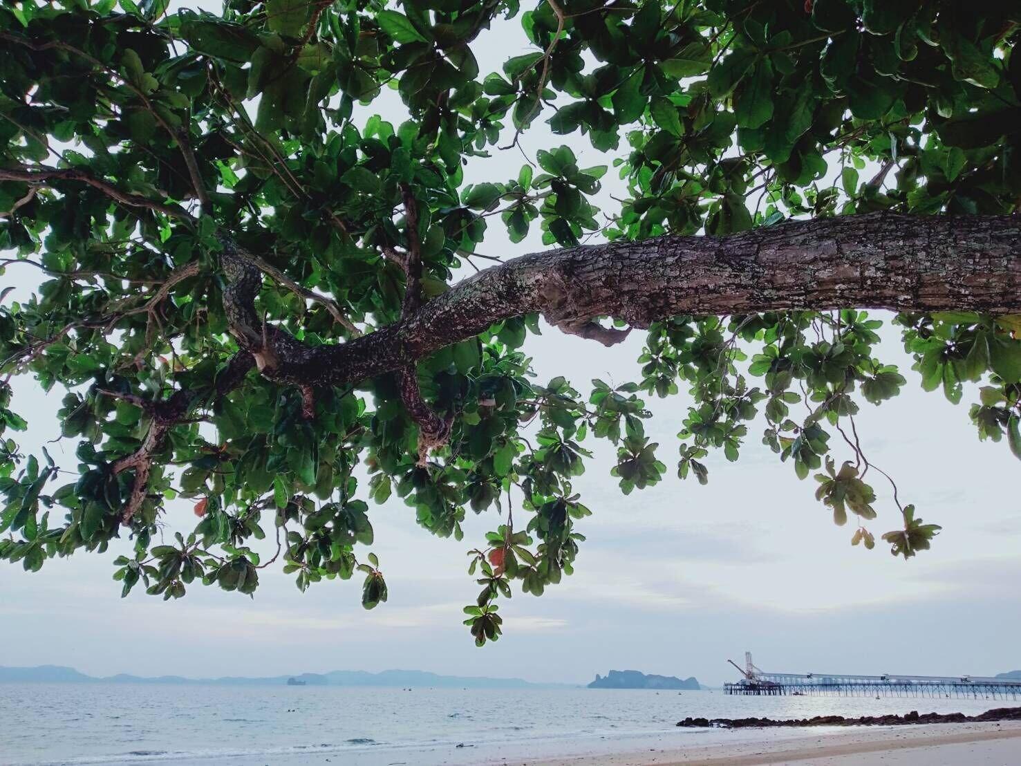 Vista Exterior Mukrada House