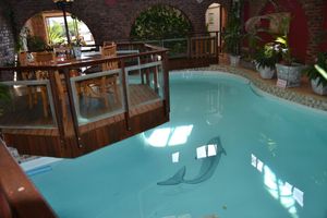 Alojamiento - Dolphin View Guesthouse