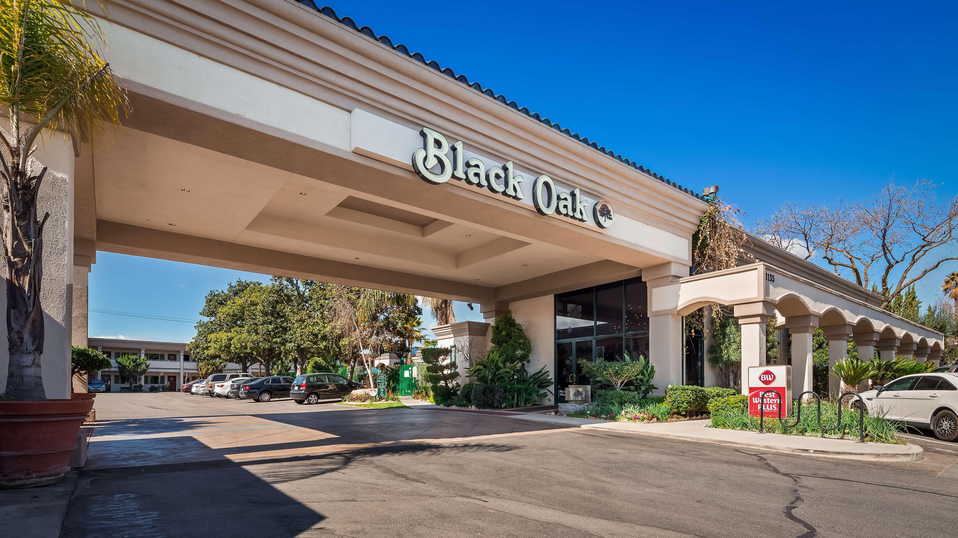 Vista Exterior Best Western Plus Black Oak