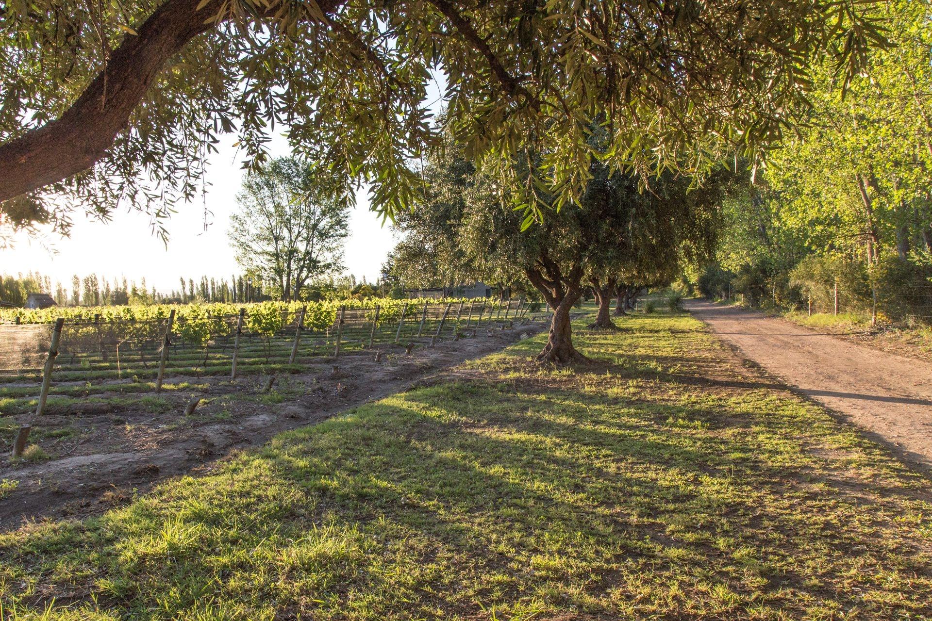 Comodidades del Alojamiento Finca el Maiten Posada Boutique