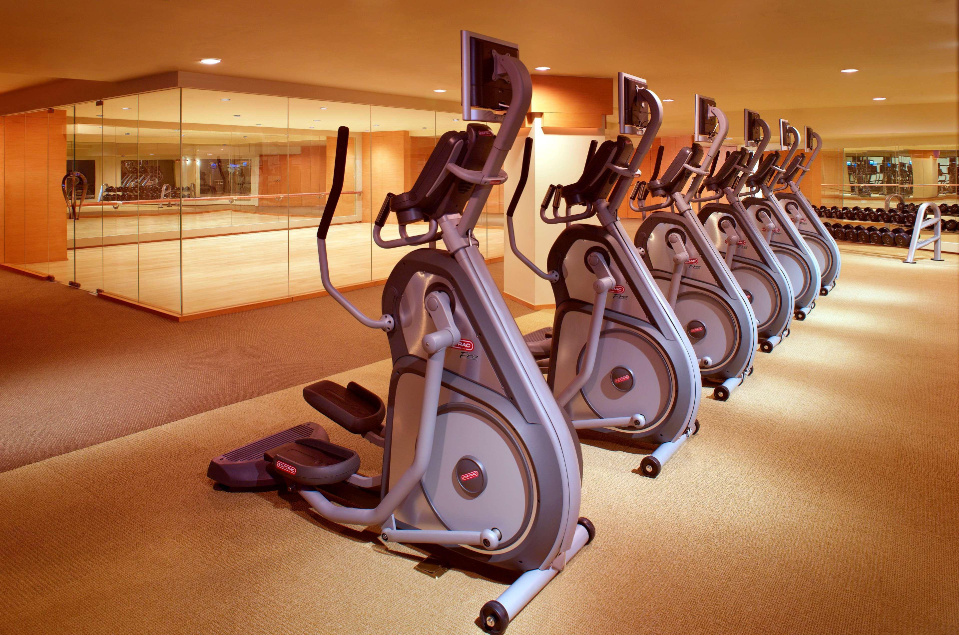 Gimnasio Hyatt on the Bund, Shanghai