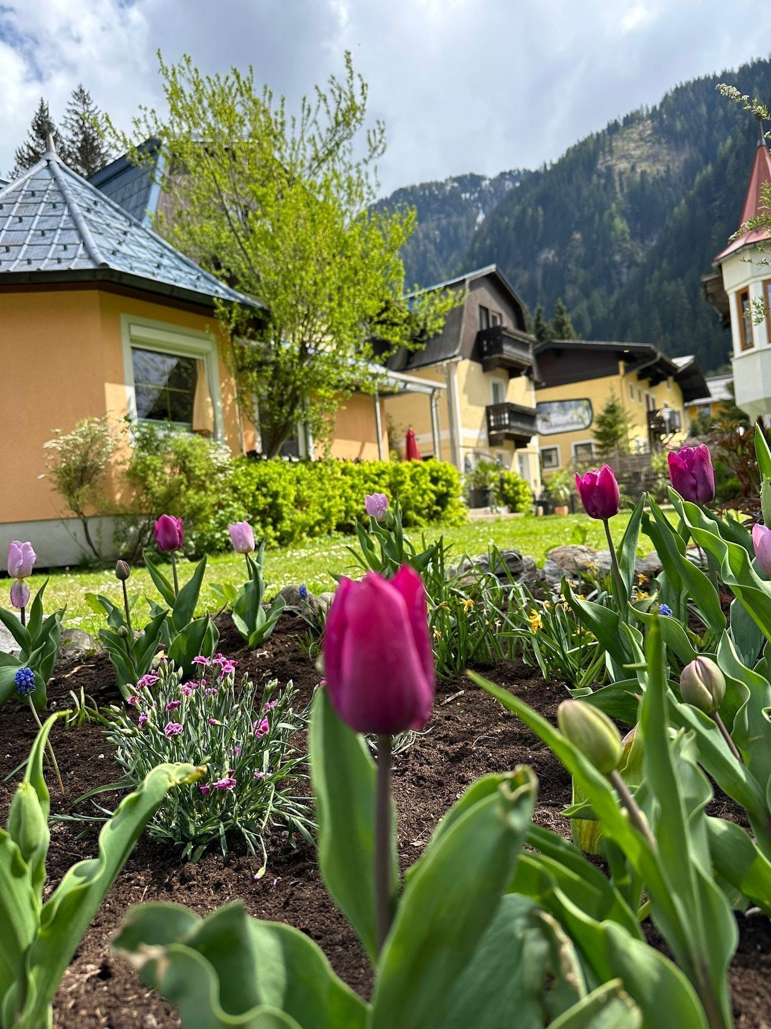 Vista Exterior GRUBERS Hotel Apartments Gastein