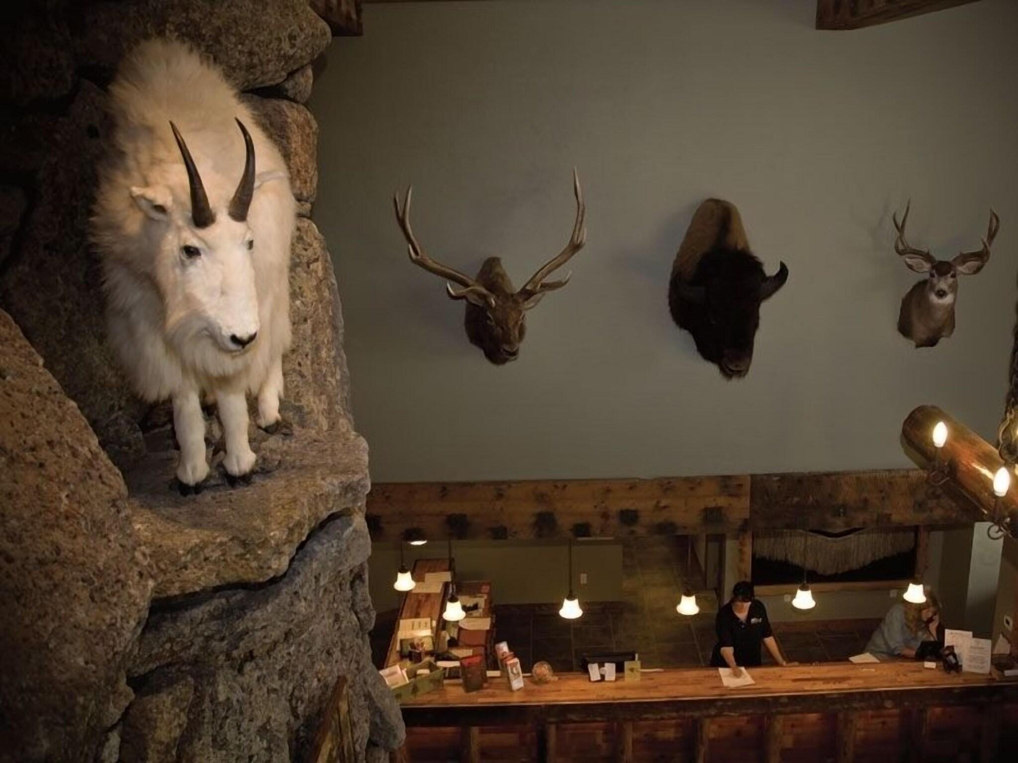 Vista Lobby Three Bear Lodge