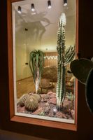 Alojamiento - Casa Moseua Hotel Boutique