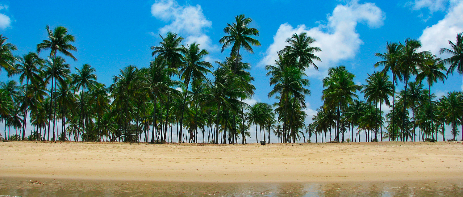 Porto de Galinhas