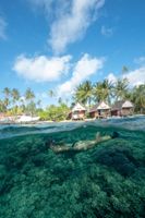 Alojamiento - Tetamanu Village