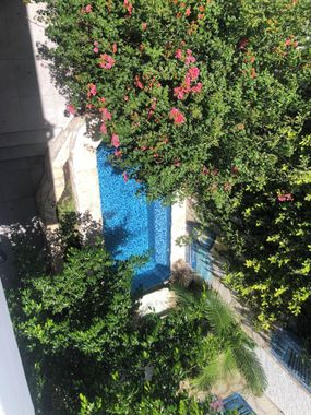 Caribo Cozumel - Hoteles en Cozumel, México: todo incluido, baratos y ofertas