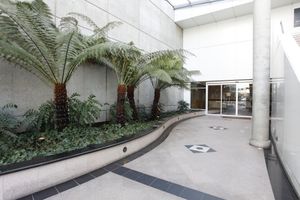 Alojamiento - Carmana Hotel & Suites