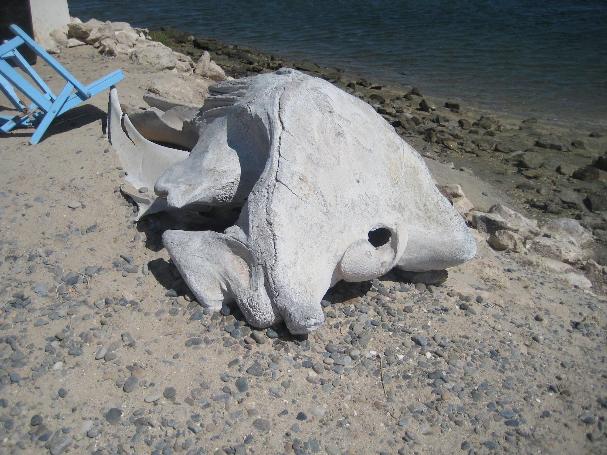 Playa The Halfwaiy Inn