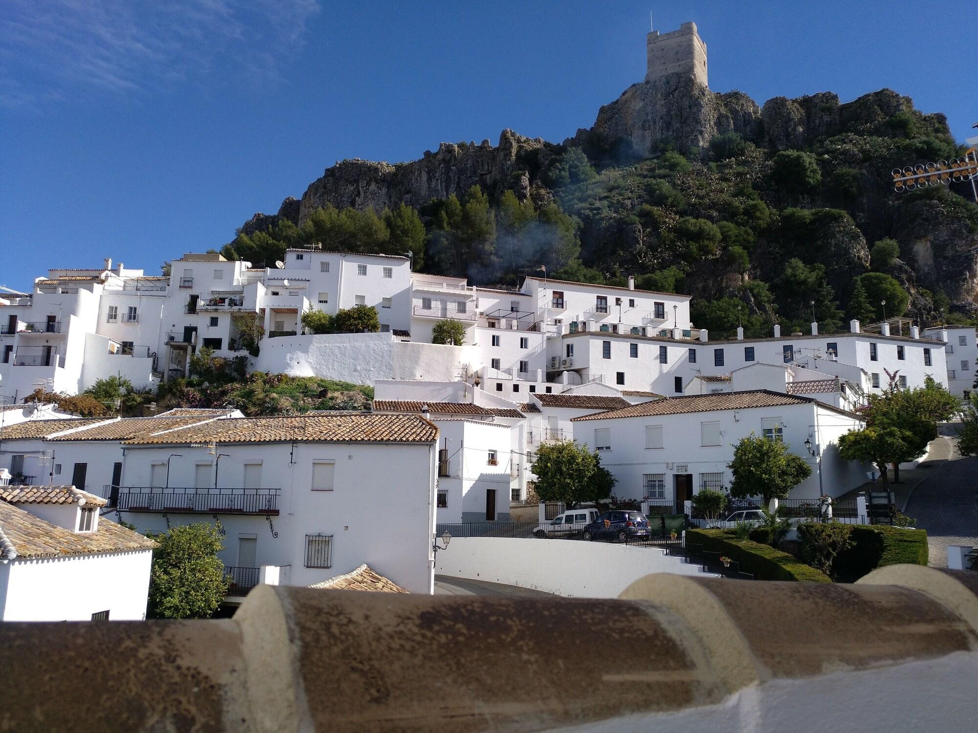 Vista Exterior Alojamiento Rural El Pinsapo