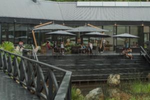 Actividad - Excursión Termas de Sol