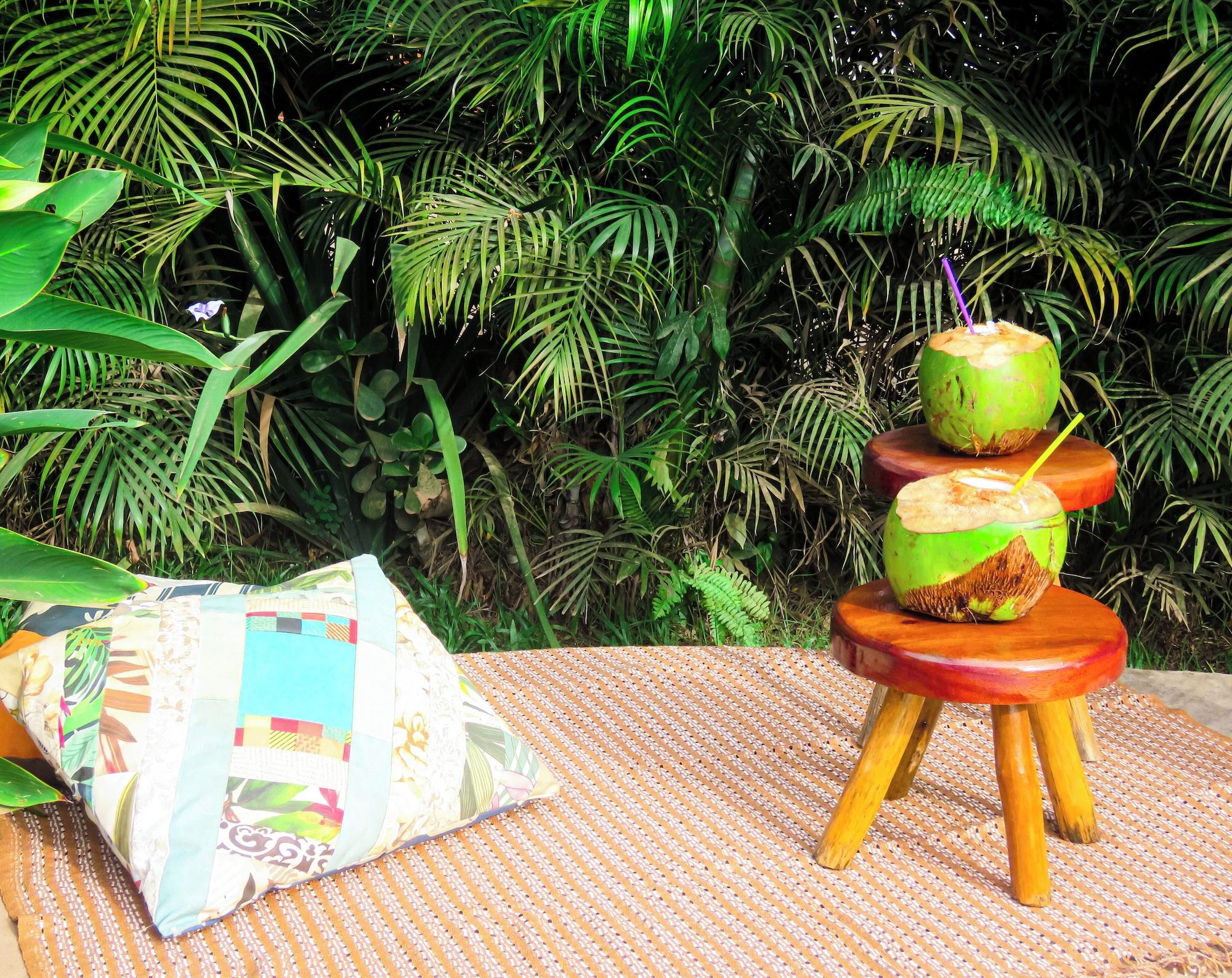 Vista Piscina Flat Barra Pousada