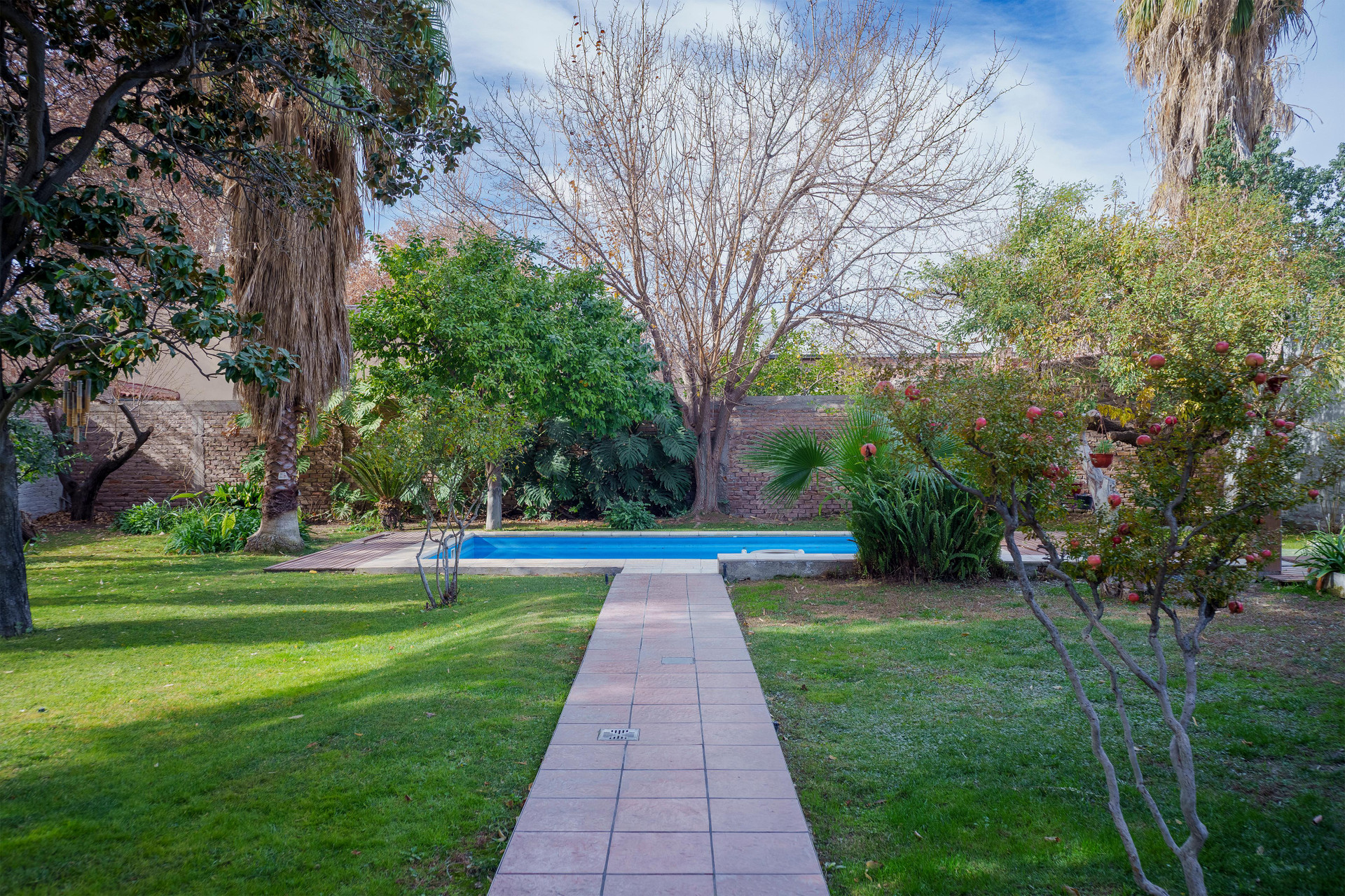 Vista Piscina Buen Viaje Mendoza