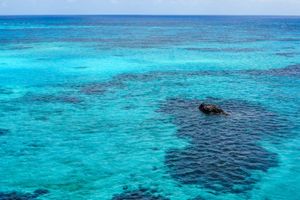 Actividad - Excursión a Punta Arrecife