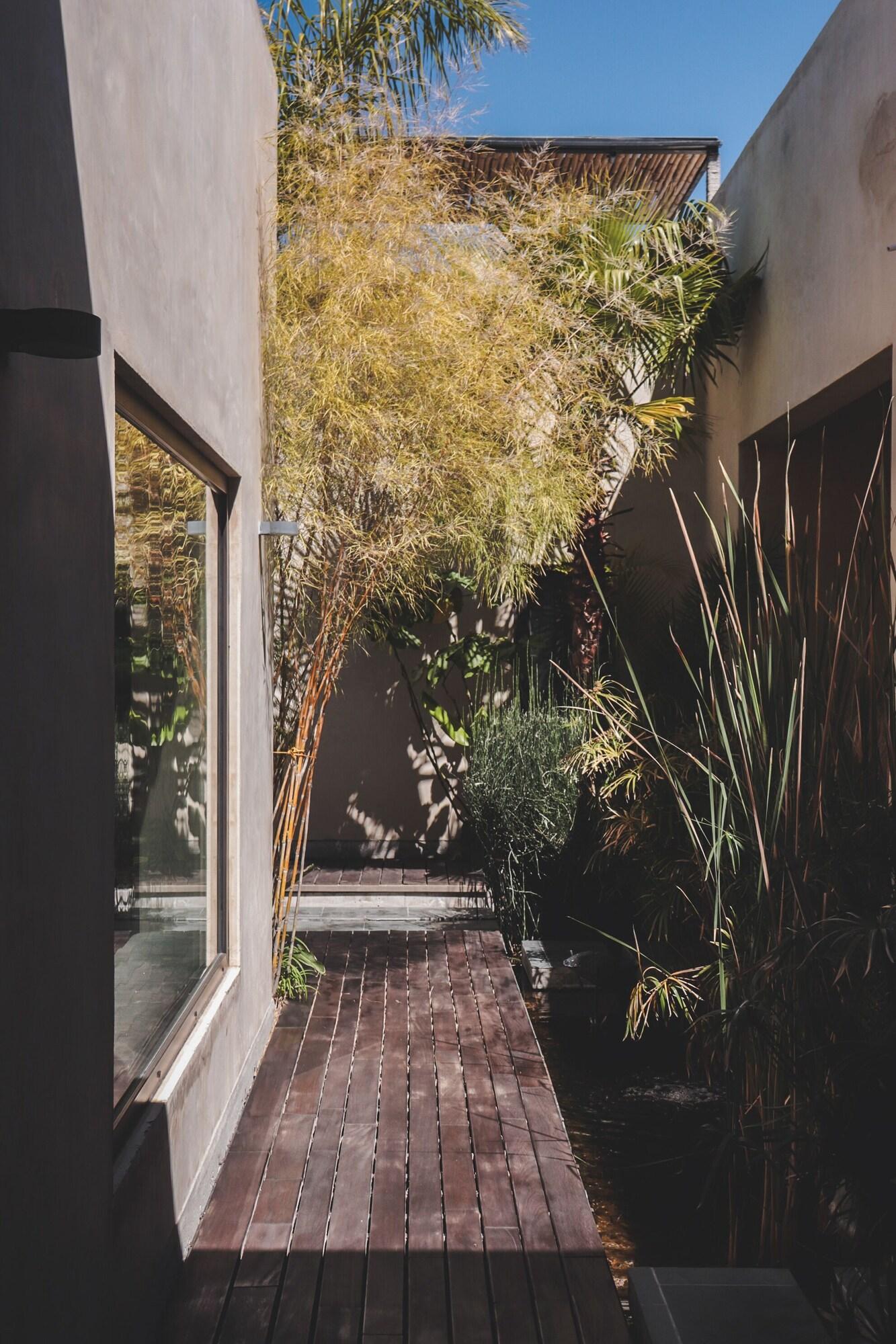 Varios Cuna del Cielo