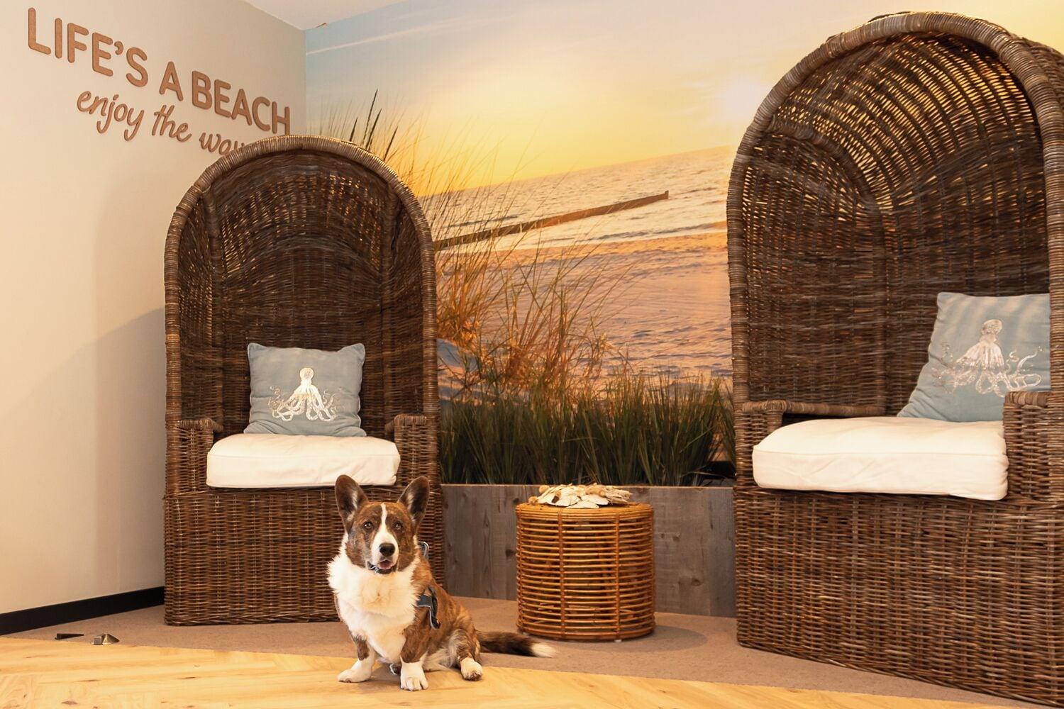 Vista Lobby Beachfront Boutiquehotel