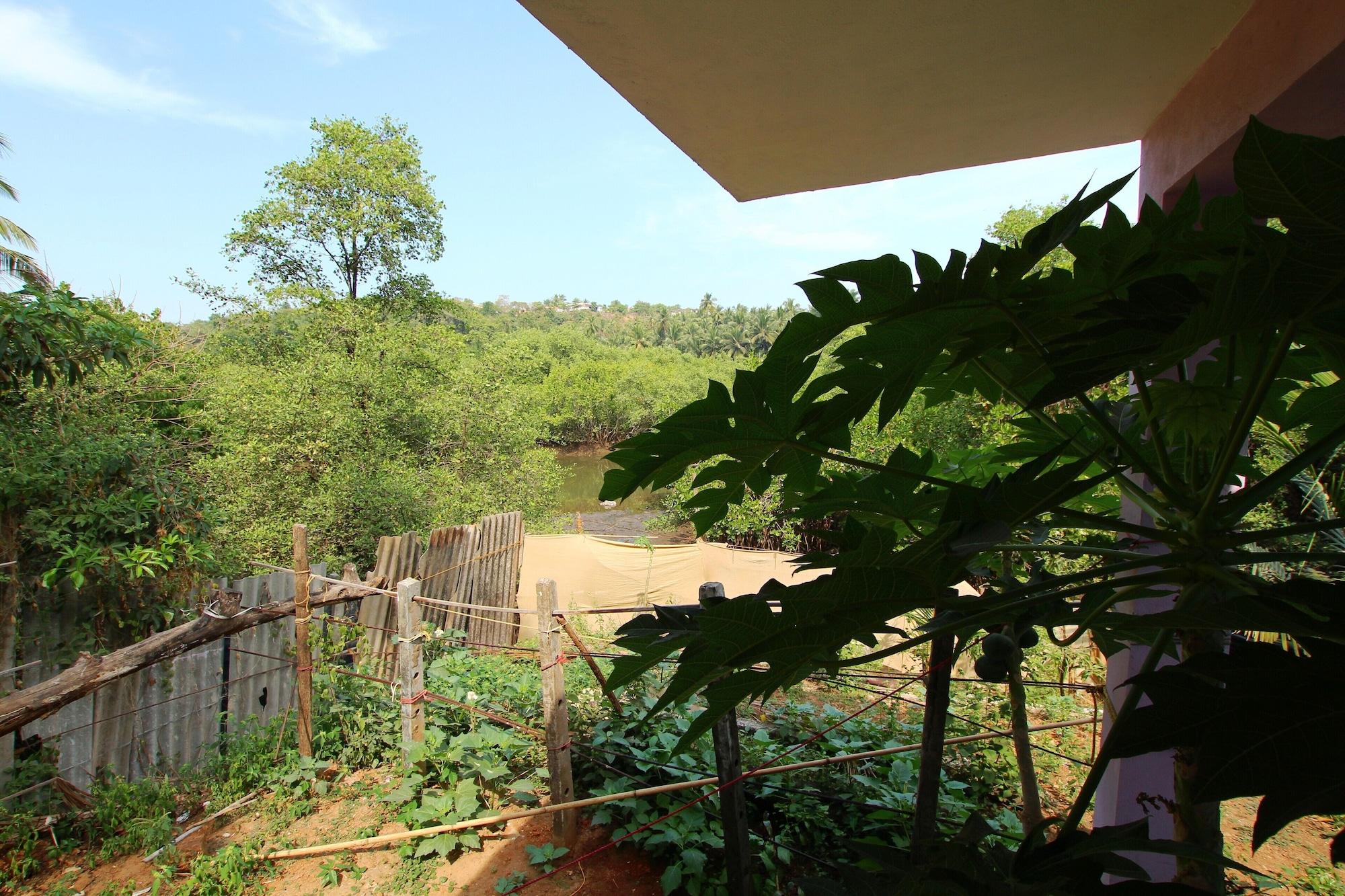 Vista Exterior Agonda Secret Garden
