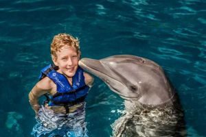 Actividad - Programa con delfines y entrada a parque Chankanaab