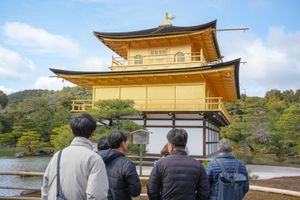Actividad - Excursión por Kioto en autobús: Castillo Nijo, Bosque de Bambú y Fushimi Inari desde Osaka