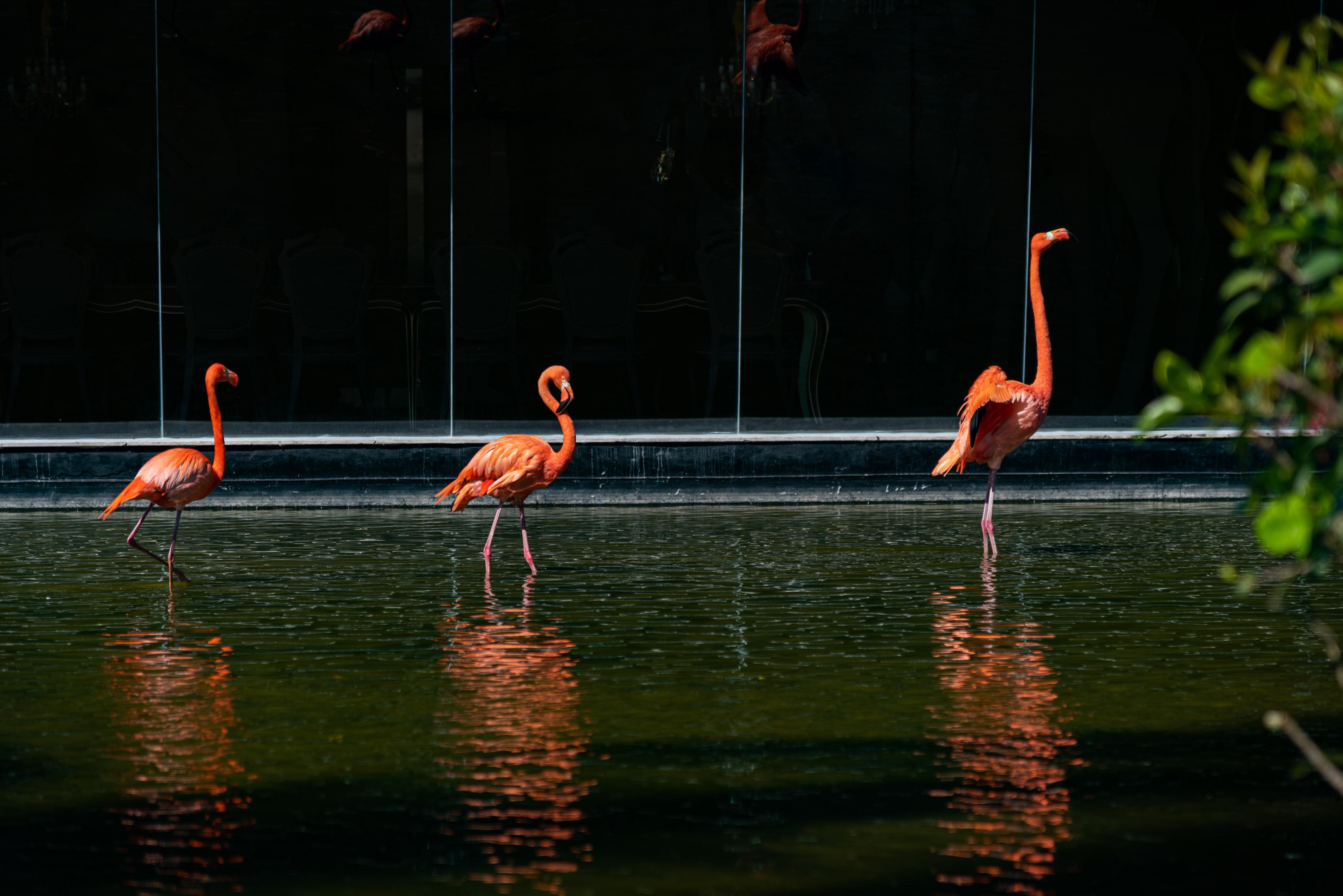 Hotel Grand Bavaro Princess