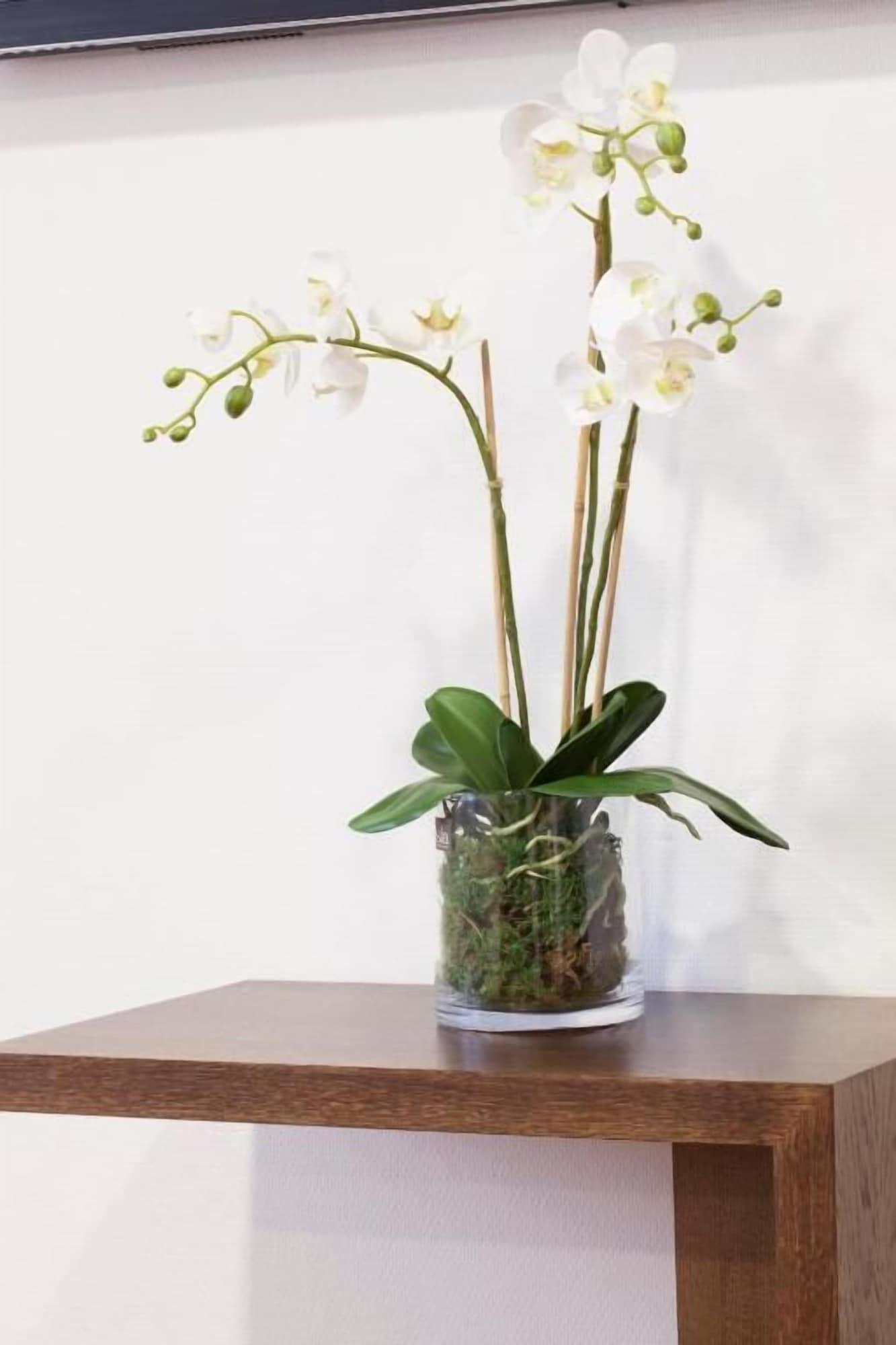 Comodidades del Alojamiento Soho Boutique Oviedo