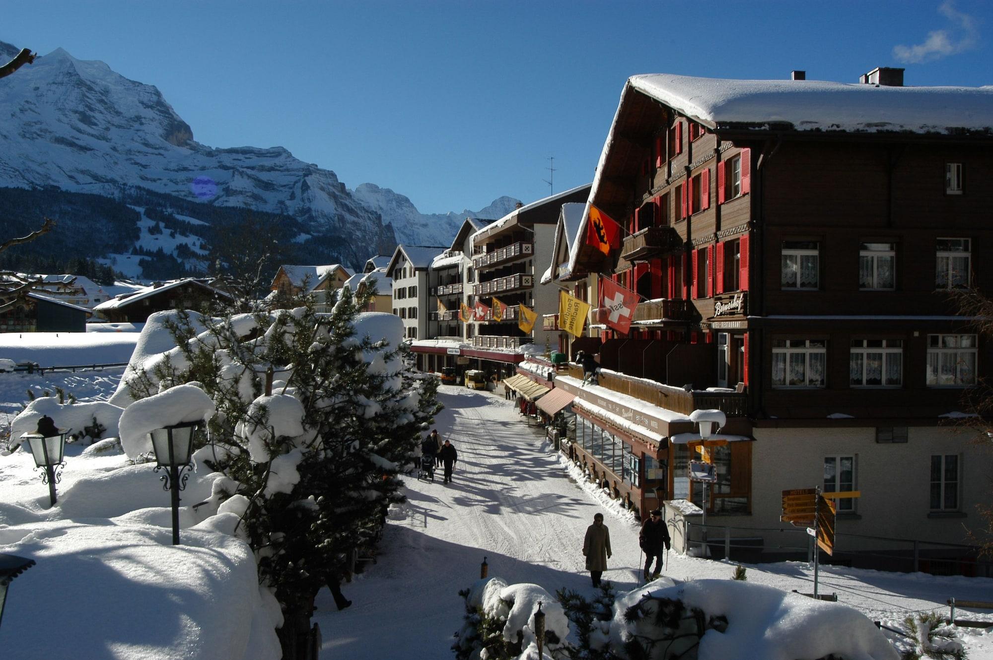 Vista Exterior Swiss Lodge Hotel Bernerhof Wengen