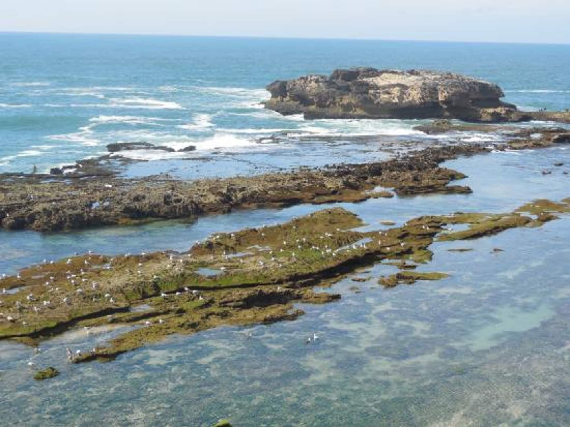 Comodidades del Alojamiento STE PERLE D'EAU