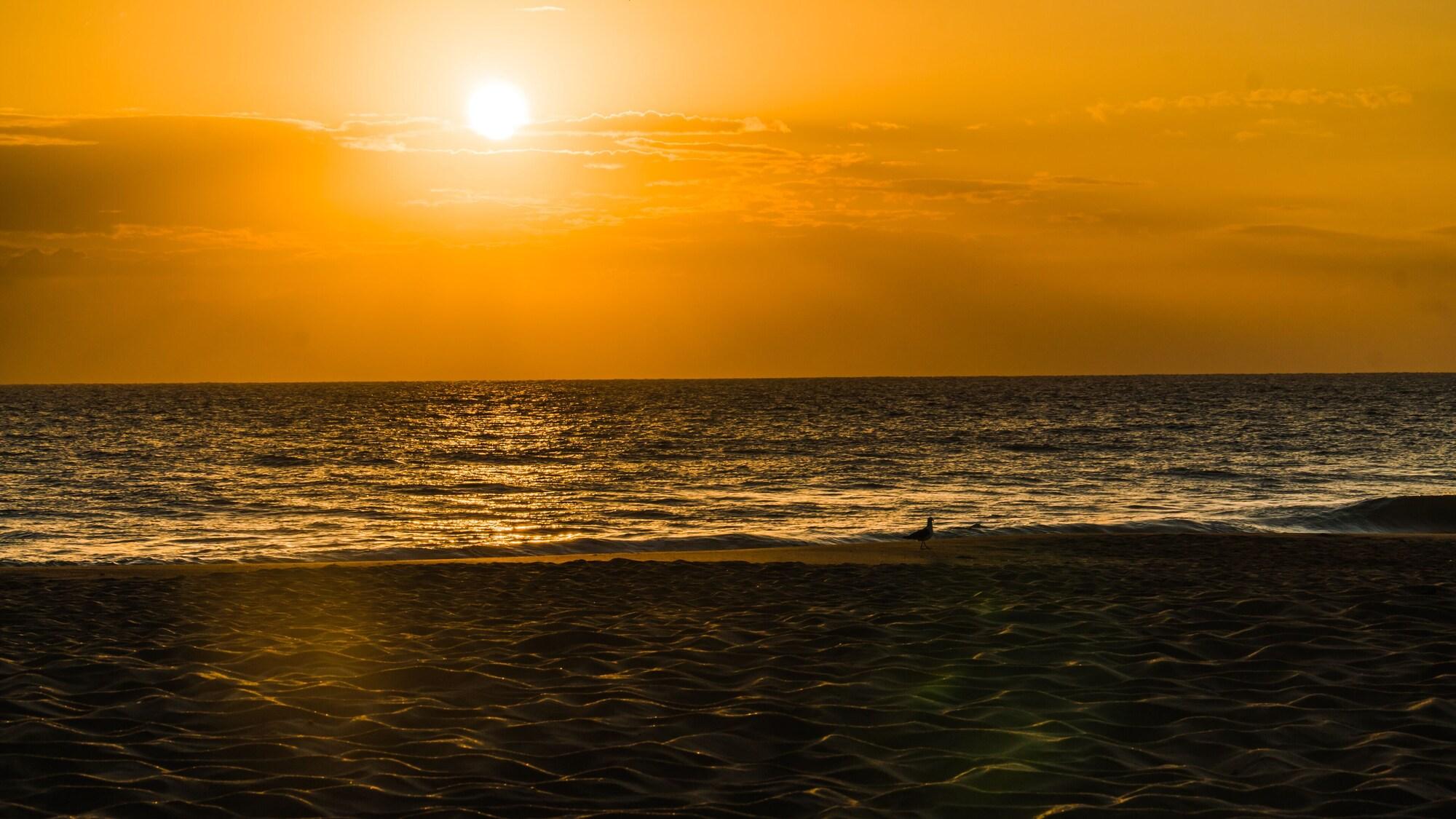 Playa Paraíso do Estaleirinho - Baln Camboriú
