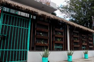 Alojamiento - Shambala Eco Hostel