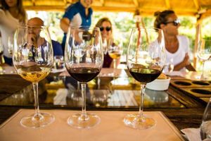 Actividad - Tour de vinos por Mendoza