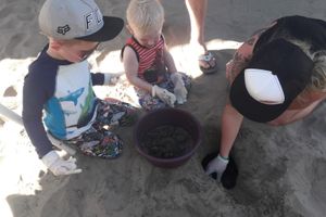 Actividad - Tour Liberacion de Tortugas