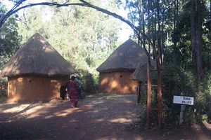 Passeio - Tour pelas Bomas do Quénia