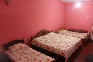 Alquiler Vacacional - Yoho Rain Forest Eco Lodge