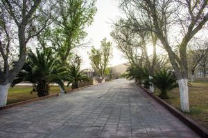 Alojamiento - Hotel El Nogalito