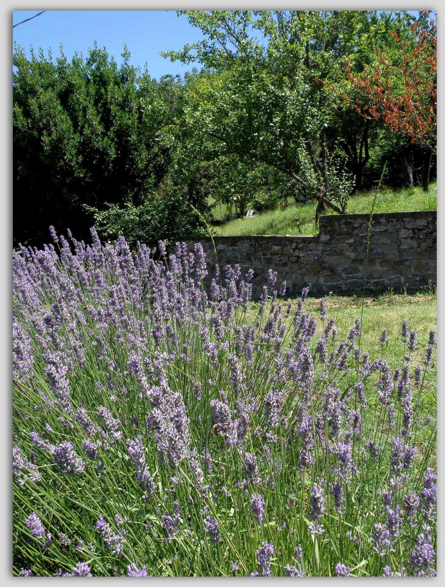 Comodidades del Alojamiento Cascina Luvot