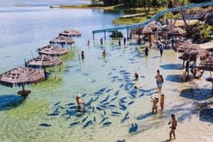 Actividad - Tour a la Laguna de Tambaquis