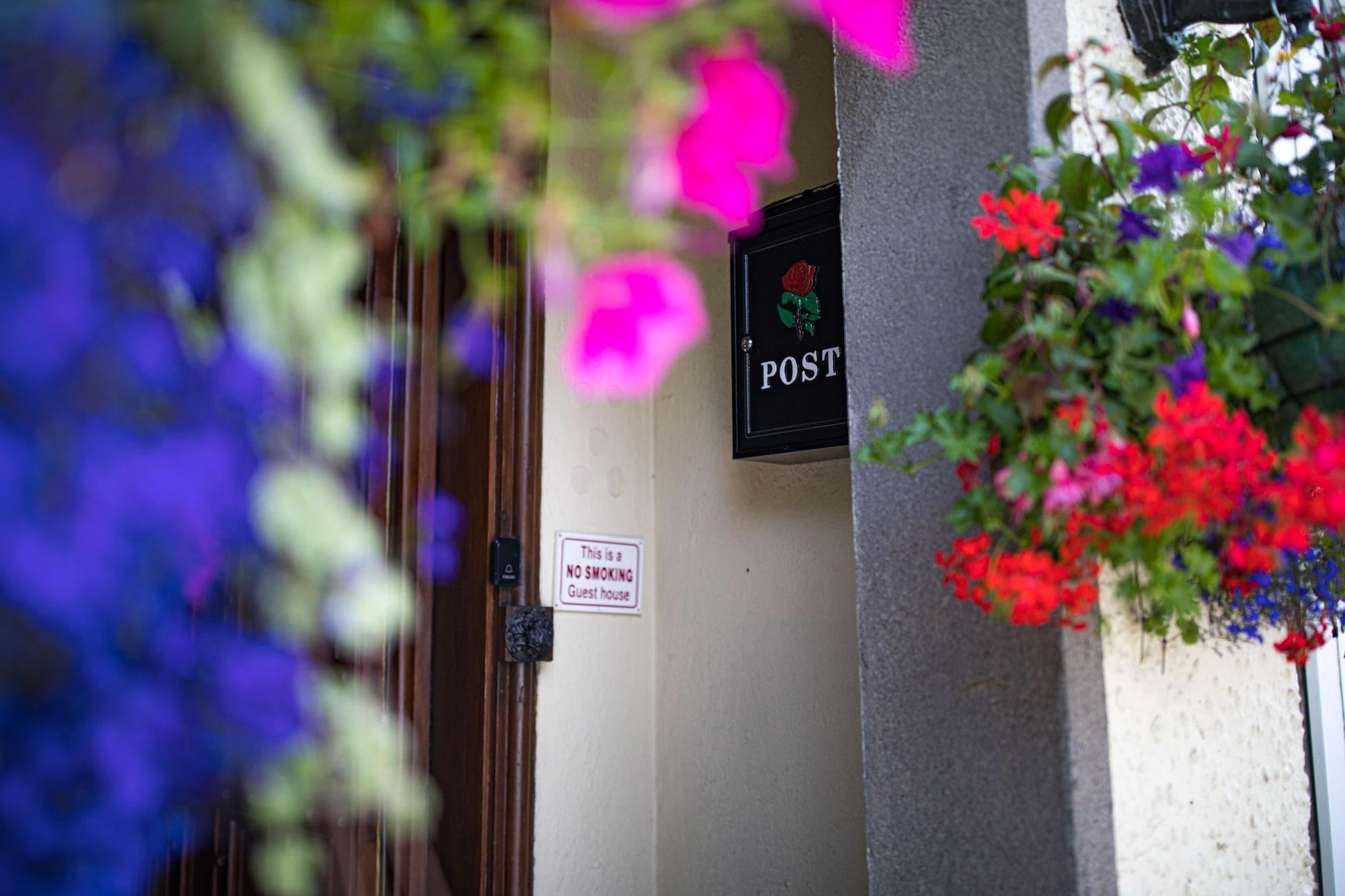 Vista Exterior The Cottage