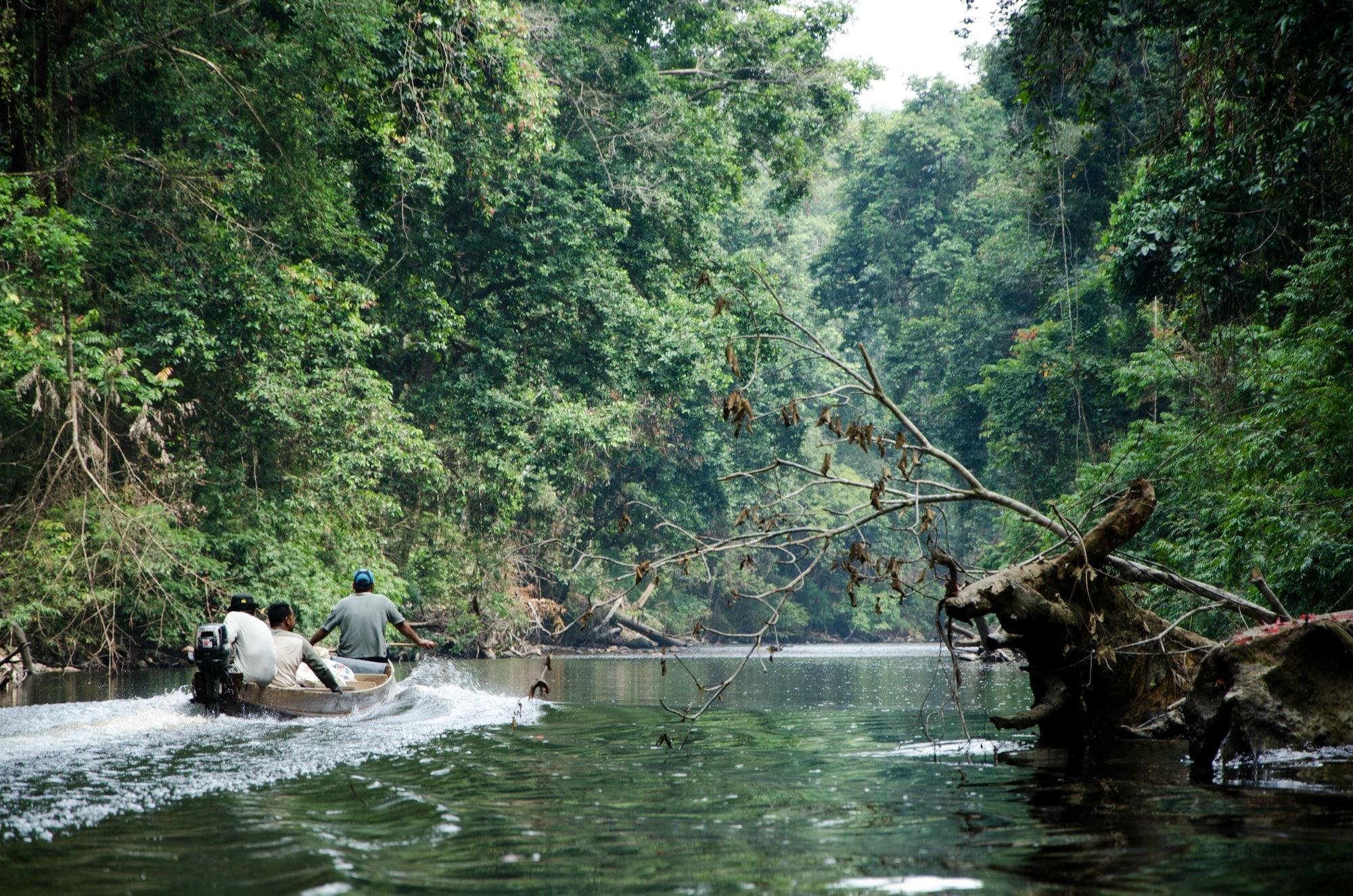 Instalaciones Recreativas Mutiara Taman Negara