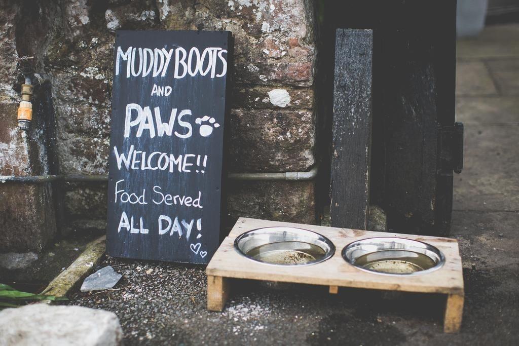 Vista Exterior The Wild Hare