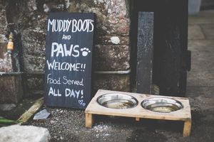 Alojamiento - The Wild Hare