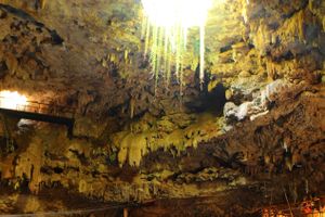 Activity - Valladolid Cenotes Tour