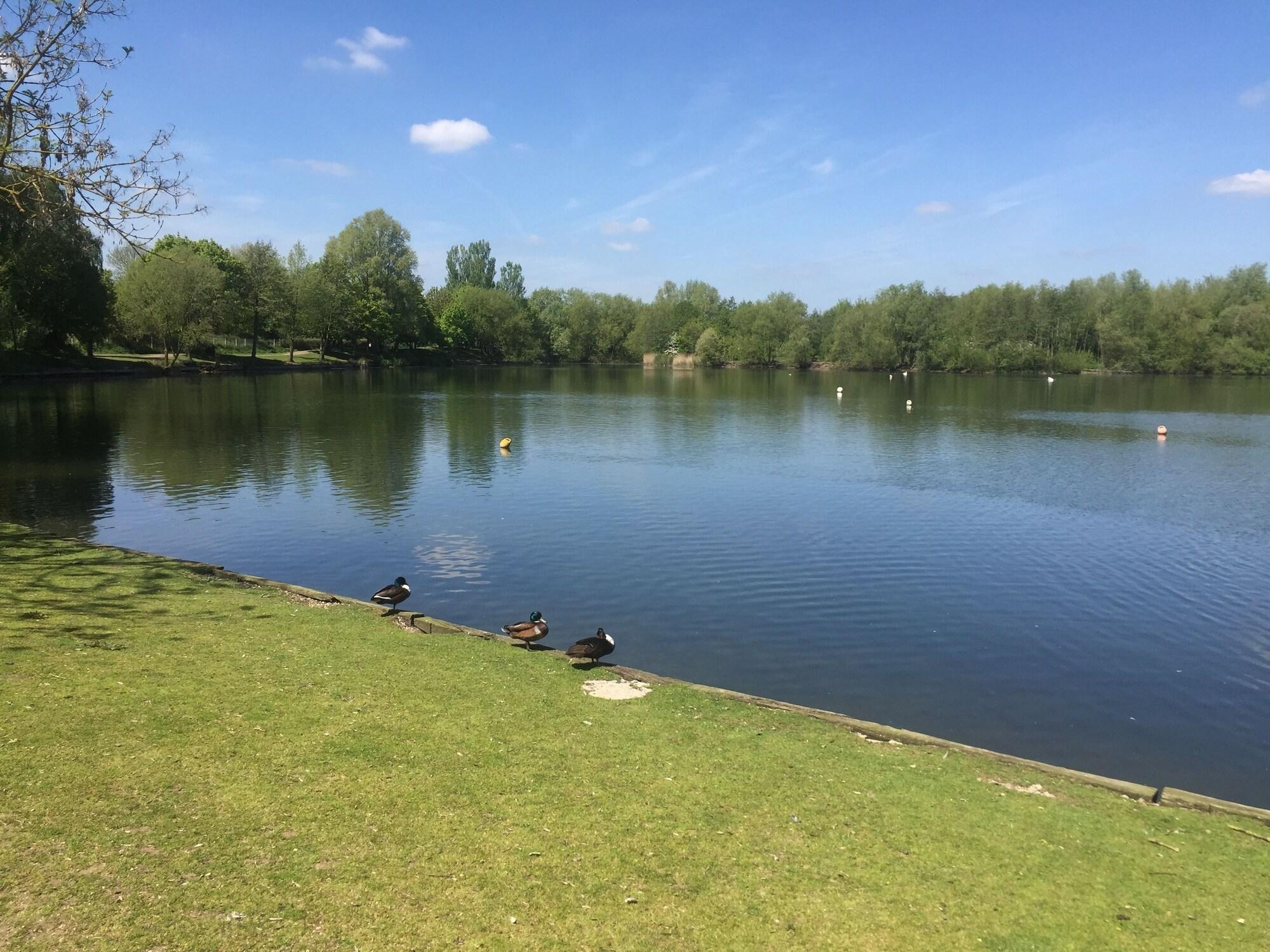 Instalaciones Recreativas Limes Hotel