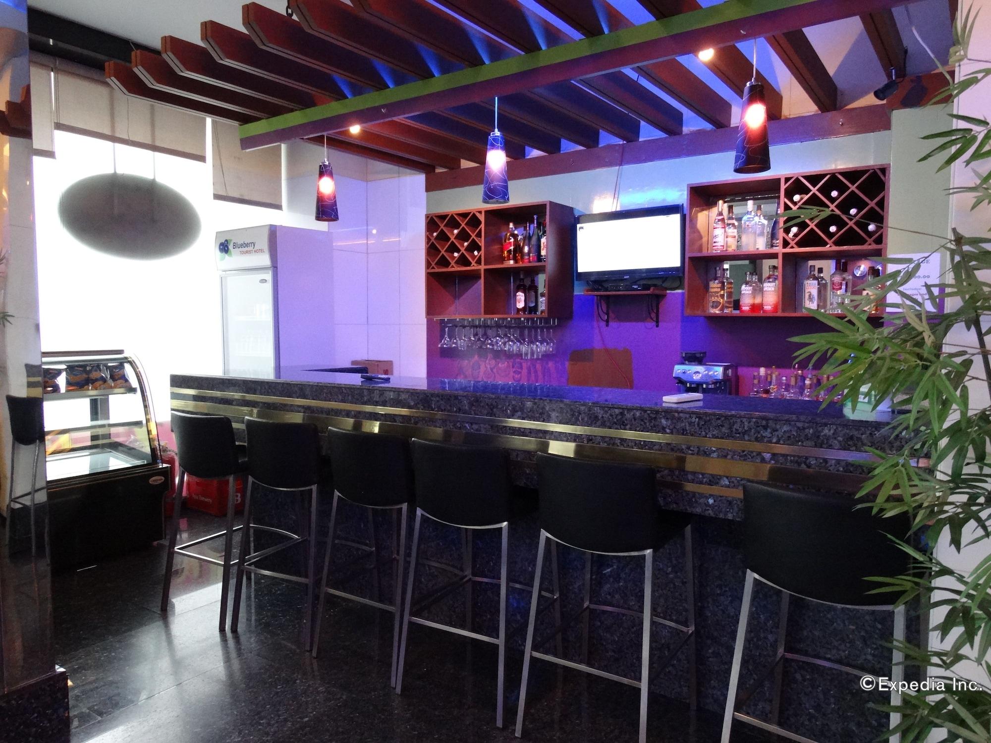 Bar/Salón Blueberry Tourist Hotel