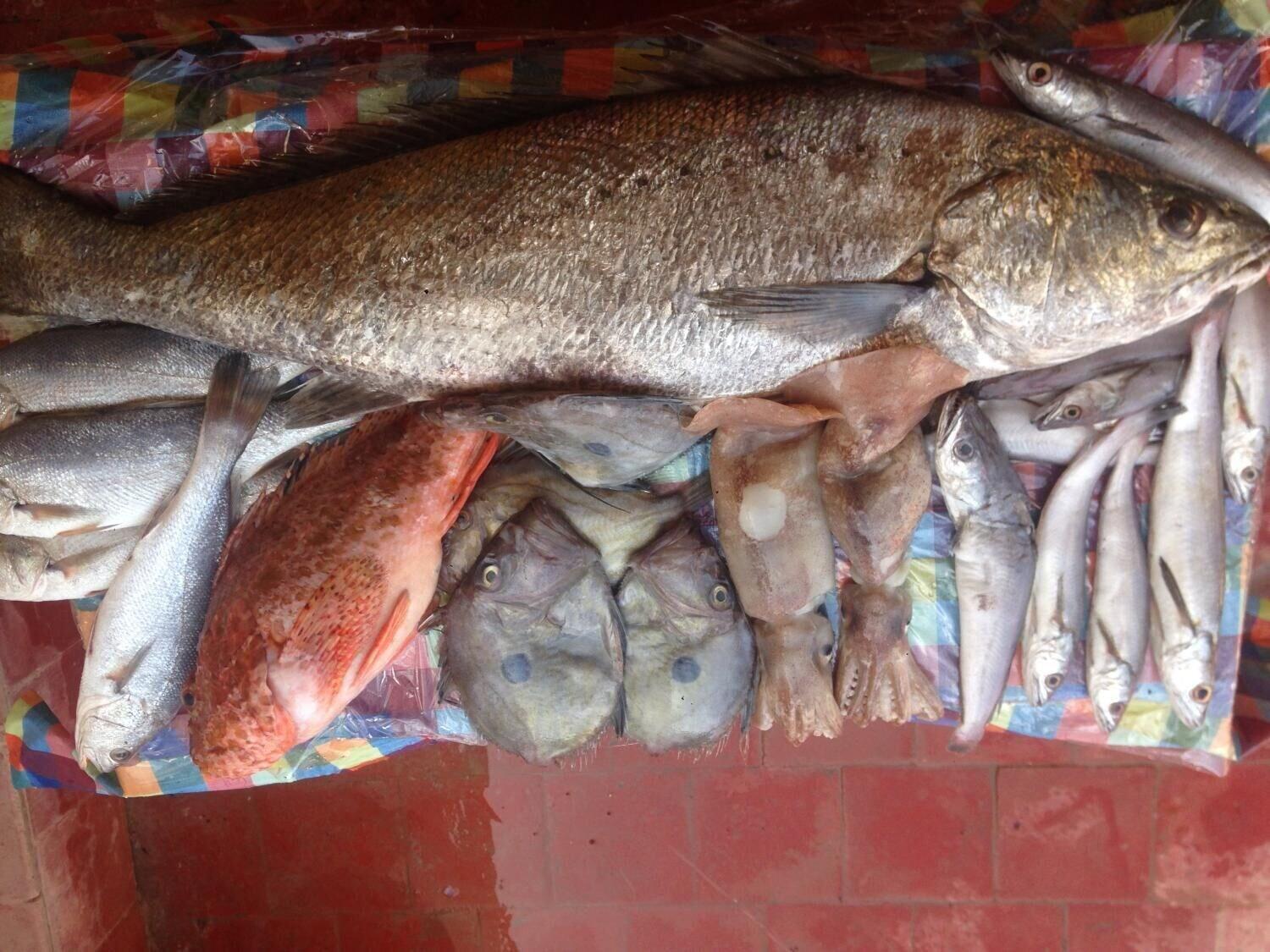 Restaurant Hôtel El Ghazi